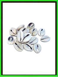 Lot de 12 cori en plastique